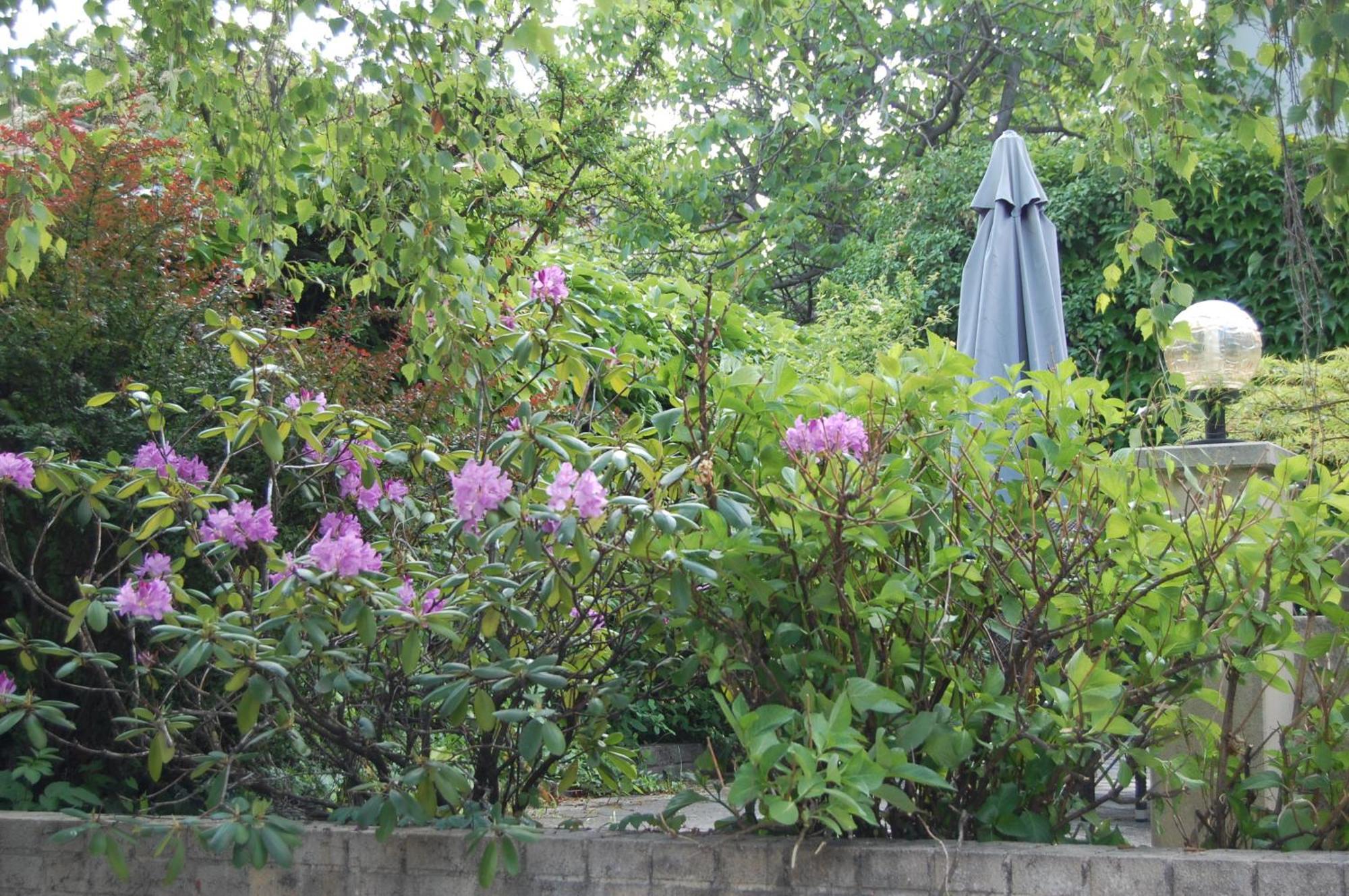 Hofgassl Zentgraf Bed and Breakfast Mörbisch am See Exteriör bild