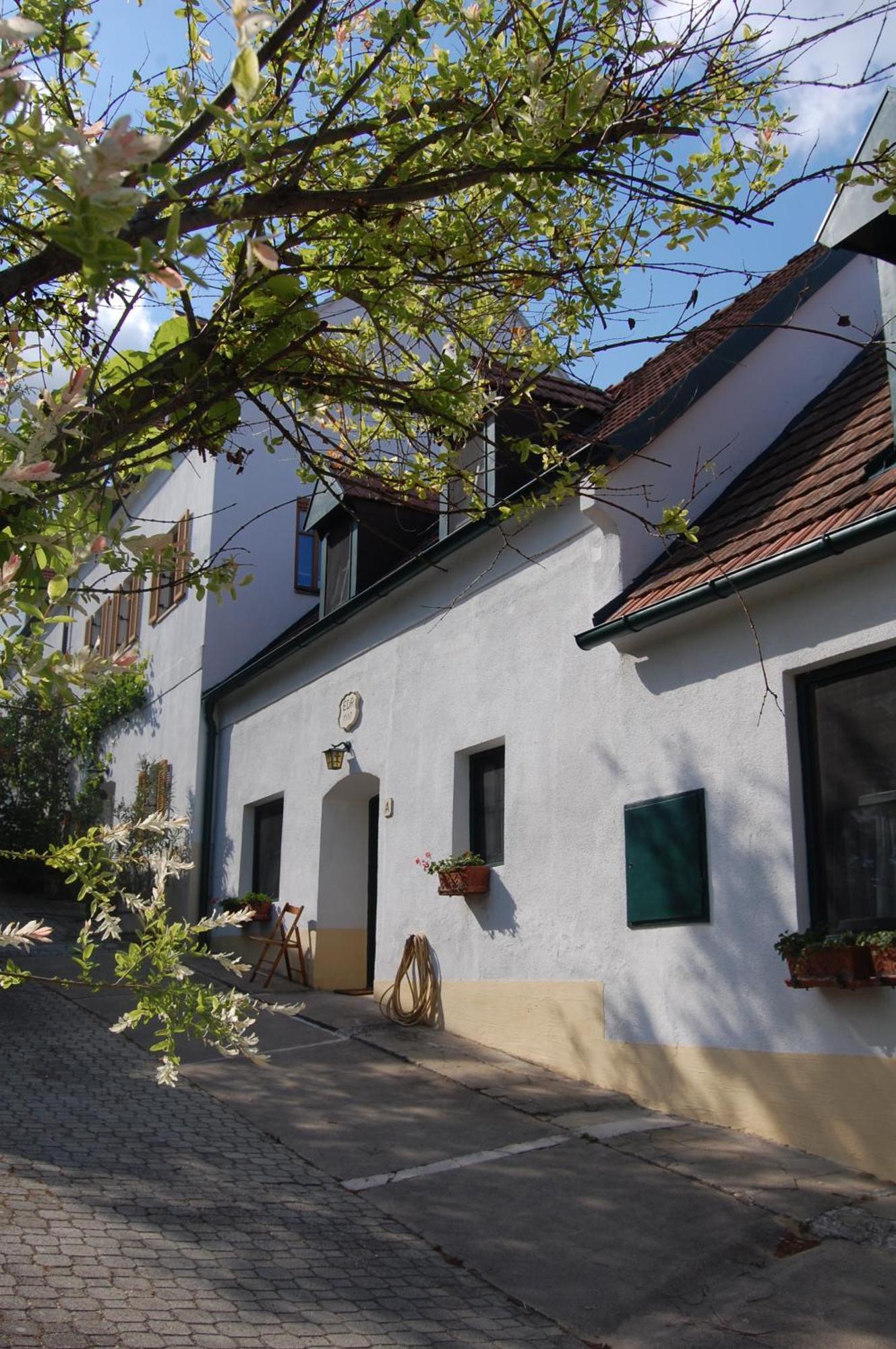 Hofgassl Zentgraf Bed and Breakfast Mörbisch am See Exteriör bild